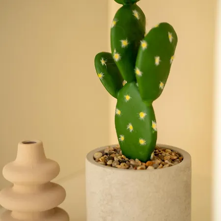 2 Bedroom House Near The Limassol