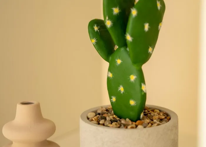 2 Bedroom House Near The Lemesos